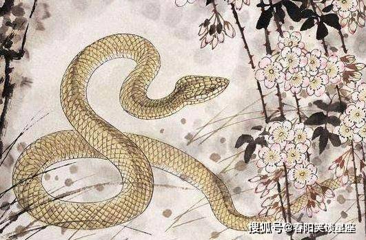 志在温食，但求飽餐。何必捨易去取難打一准确生肖、警惕虚假宣传-全面释义、专家解答解释落实