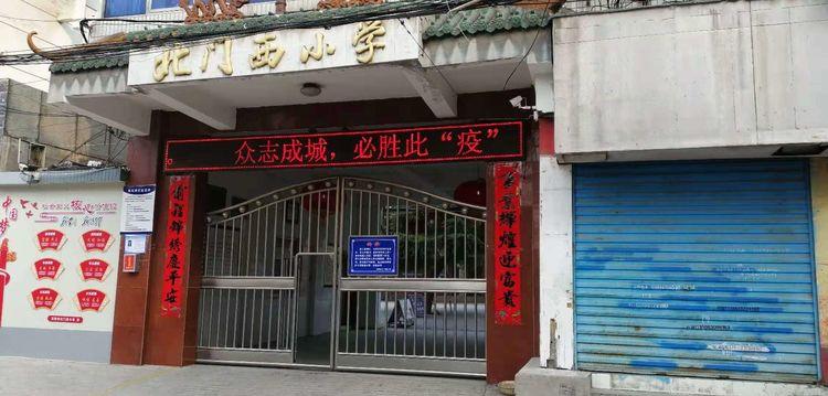 精卫填海意志坚打一最佳生肖，详细解答、前沿解答解释落实