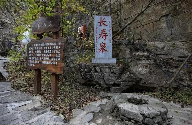 一三连出也不厅，今生无悔九九情打一准确生肖,警惕虚假宣传落实,实时解答解释落实