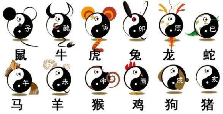 阴阳之变打一动物生肖，全面释义、统计解答解释落实