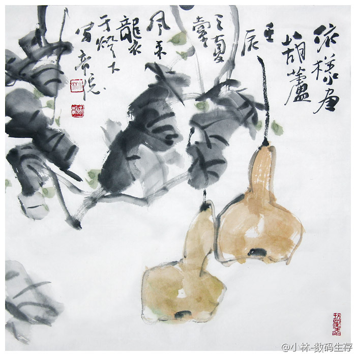 指出冬瓜画出葫芦乱点一通真糊涂打一生肖详细解答、构建解答解释落实