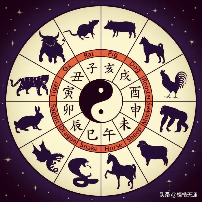 阴阳之变打一动物生肖，全面释义、统计解答解释落实